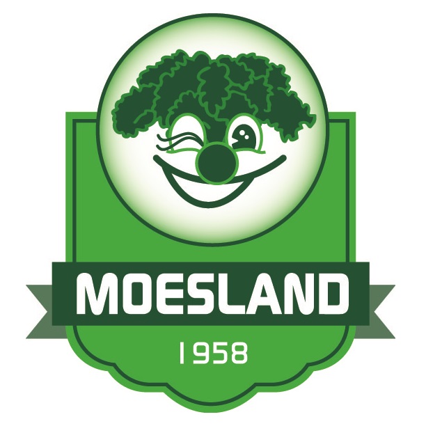 Logo Stichting Carnaval de Moeslanden 2016